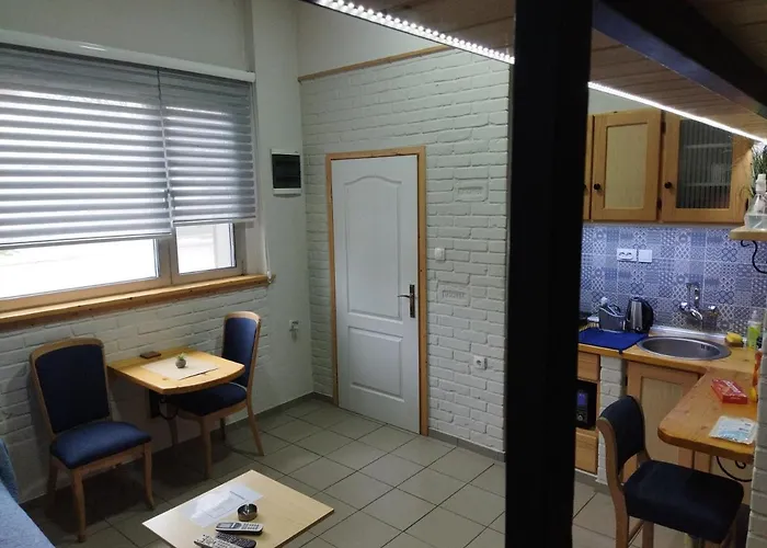 Sirmium 斯雷姆斯卡米特罗维察