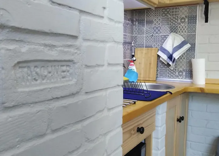 公寓 Sirmium 斯雷姆斯卡米特罗维察